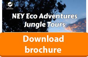 Download brochure jungle tours Amazon Manaus